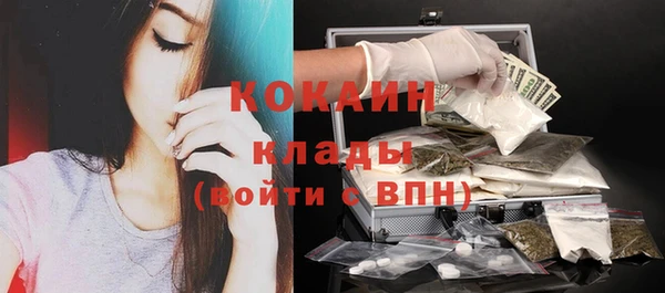 прущие грибы Белокуриха