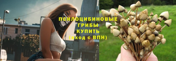 прущие грибы Белокуриха