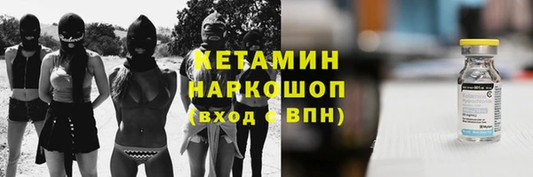 прущие грибы Белокуриха