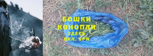 прущие грибы Белокуриха