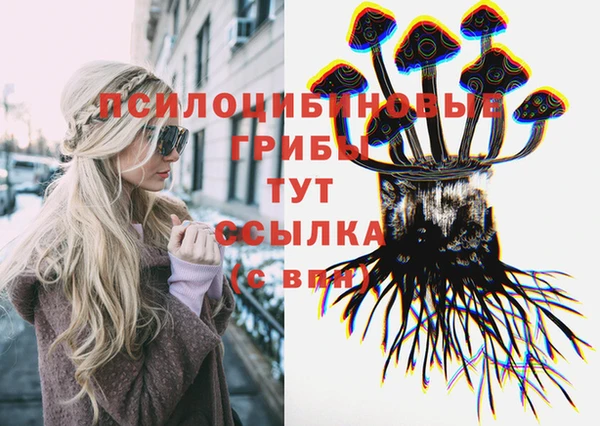 прущие грибы Белокуриха
