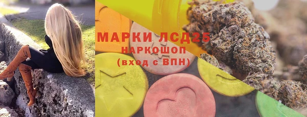 прущие грибы Белокуриха